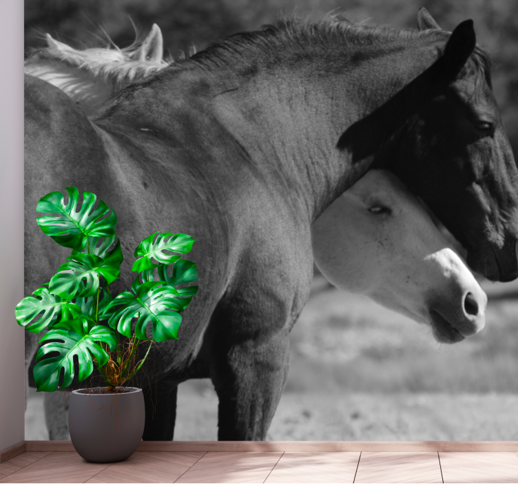 动物风格的墙面壁画展现马的陪伴之情 - TenStickers