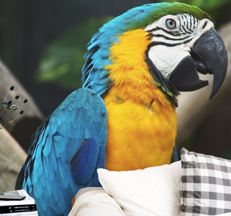 动物风格的墙面壁画 金刚鹦鹉肖像 - TenStickers