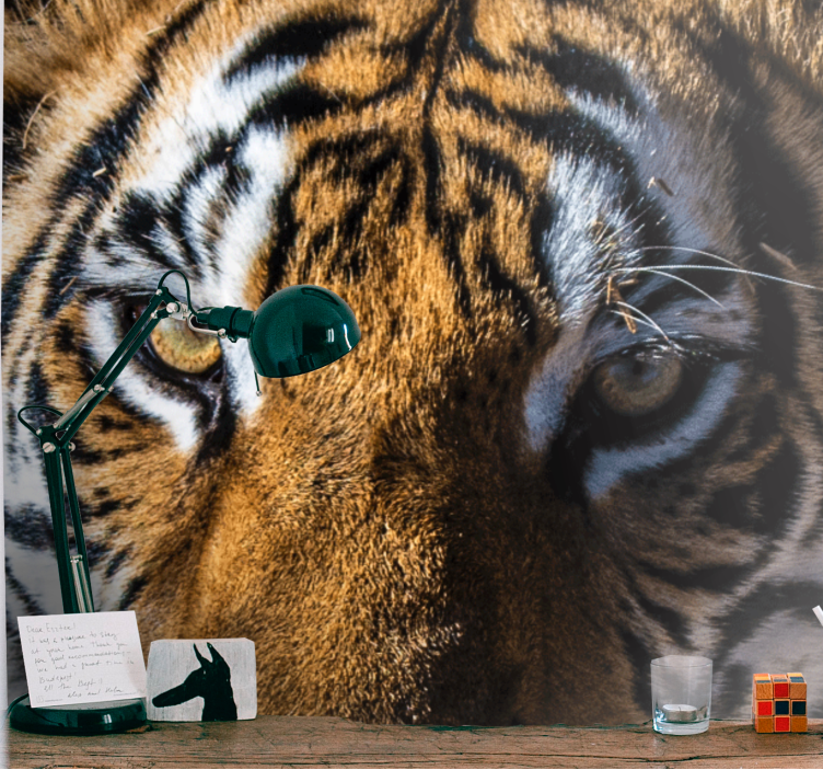 动物风格的墙面壁画壮丽老虎特写 - TenStickers