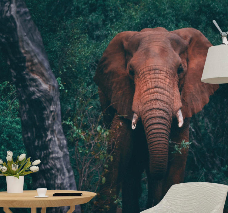 动物风格的墙面壁画展现雄伟大象气息 - TenStickers
