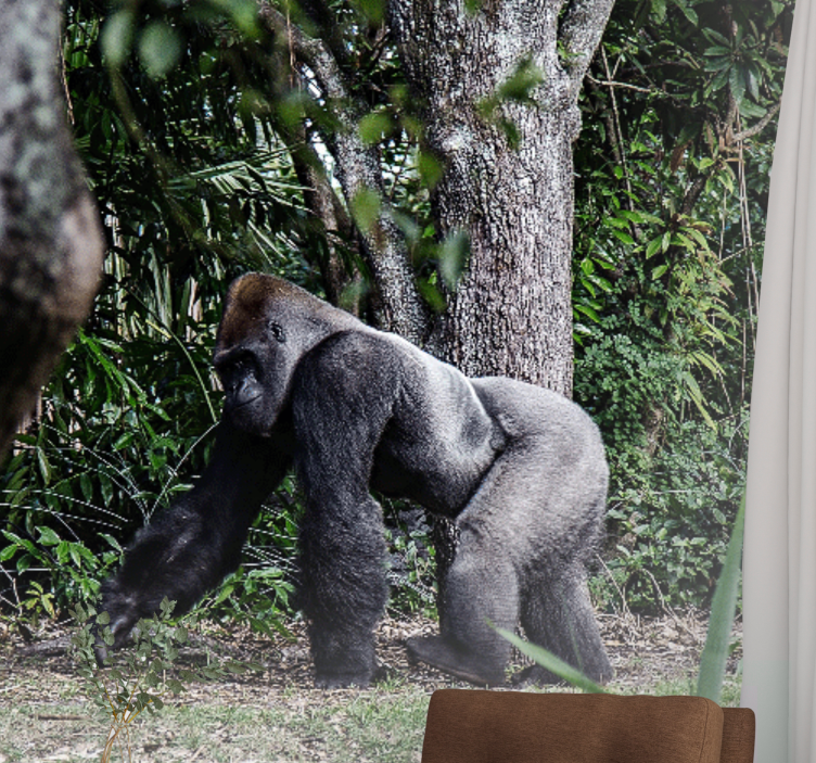 动物风格的墙面壁画雄伟大猩猩漫步 - TenStickers