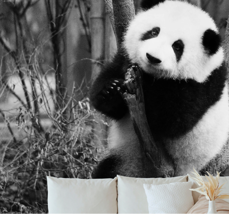 动物风格的墙面壁画熊猫栖树上 - TenStickers