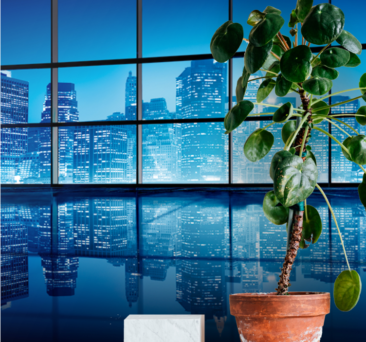 城市和乡村照片墙夜景倒影 - TenStickers