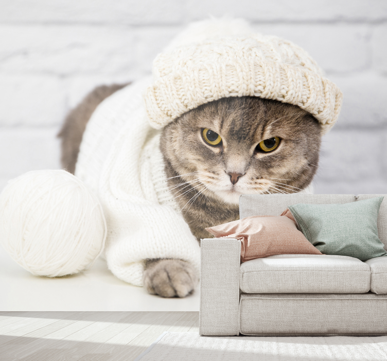 可爱的棕色猫photowall壁画 - TenStickers