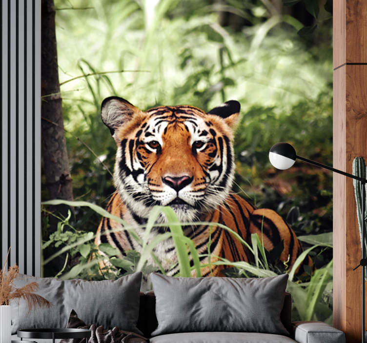 可爱的老虎看着你的壁画 - TenStickers