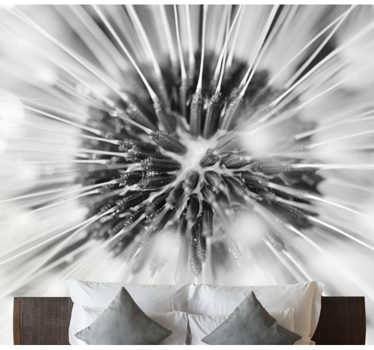 蒲公英照片墙 蒲公英种子爆裂 - TenStickers