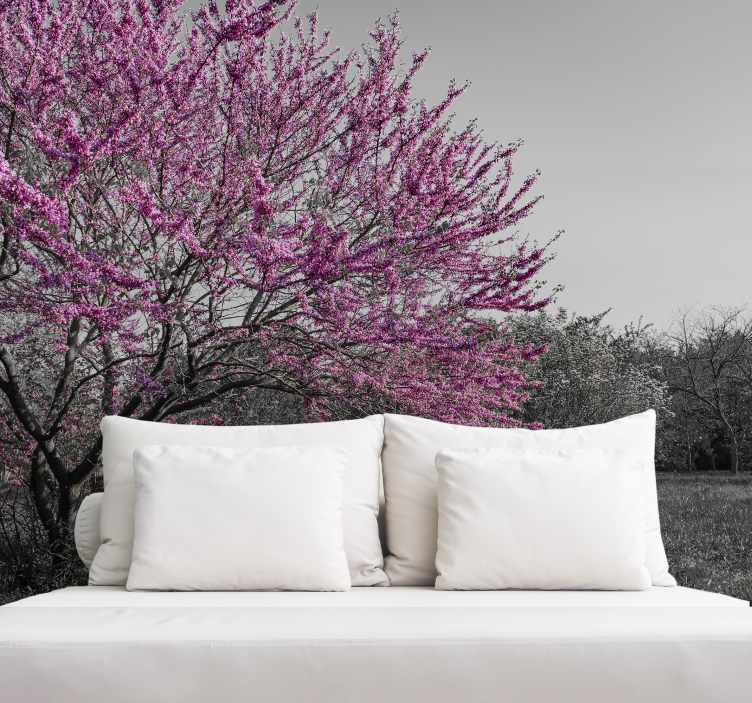 花卉照片墙樱花树 - TenStickers