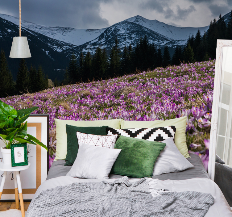 花卉照片墙展示紫 crocus 花田 - TenStickers