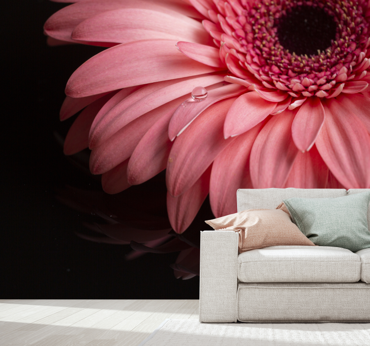 花卉照片墙 非洲菊花瓣特写 - TenStickers