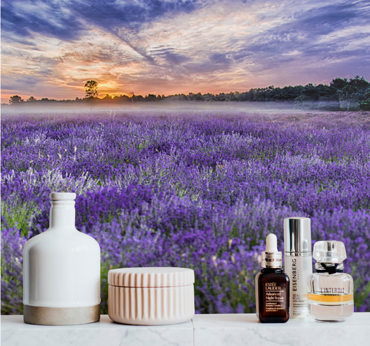 花卉照片墙在薰衣草田的黄昏时分 - TenStickers