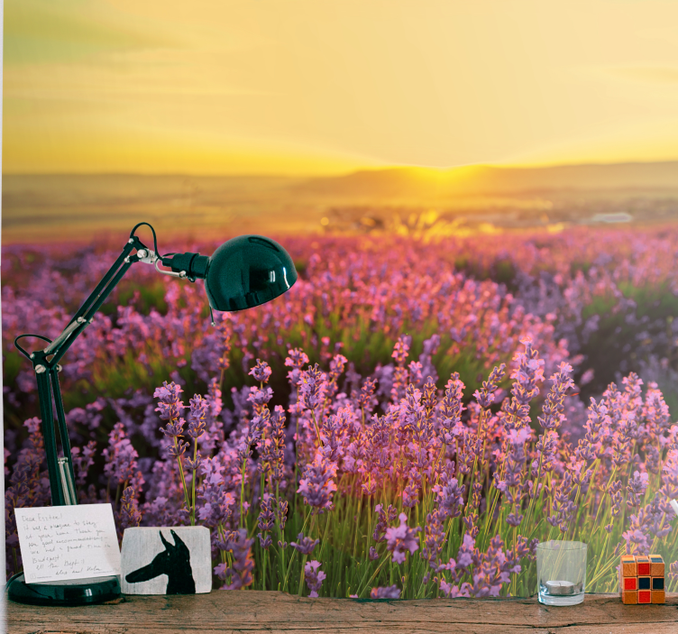 花卉照片墙薰衣草草甸黄昏 - TenStickers