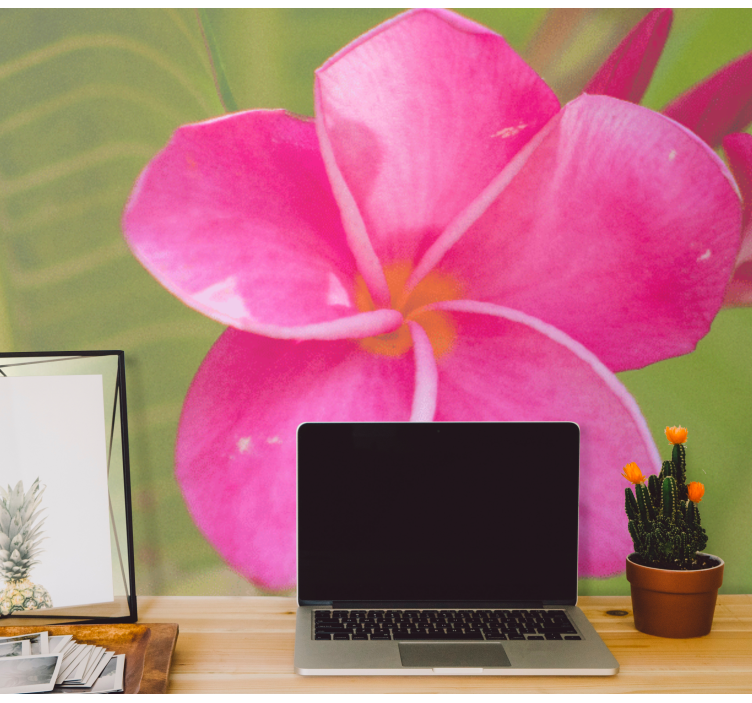 花卉照片墙粉色花卉点缀 - TenStickers