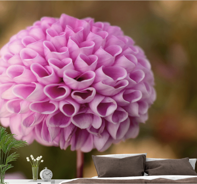 花卉照片墙粉色花卉球体 - TenStickers