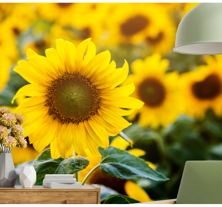 花卉照片墙向日葵花田绽放 - TenStickers