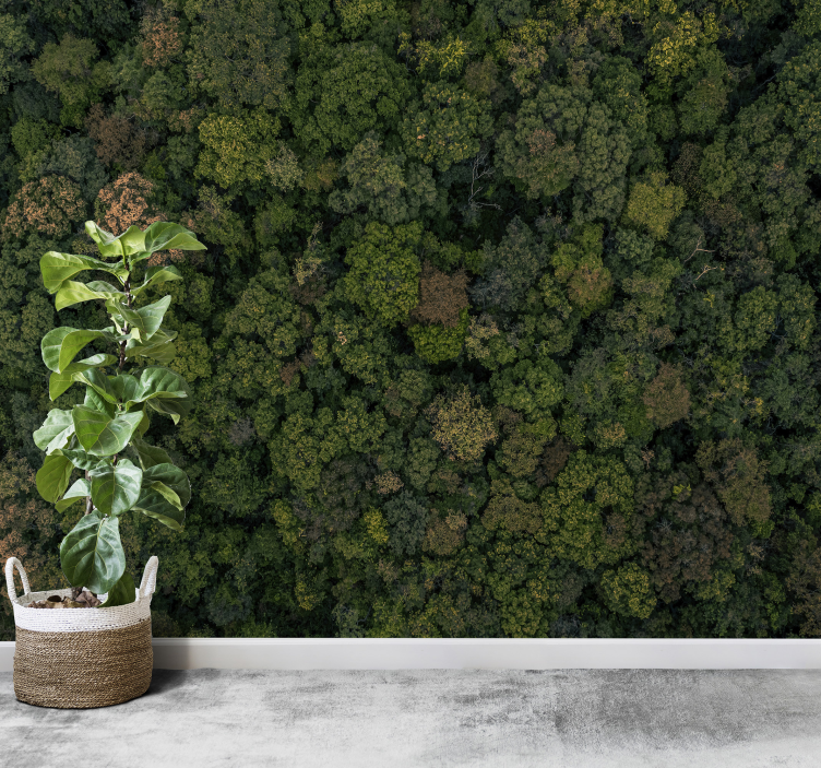 森林照片树墙壁画 - TenStickers