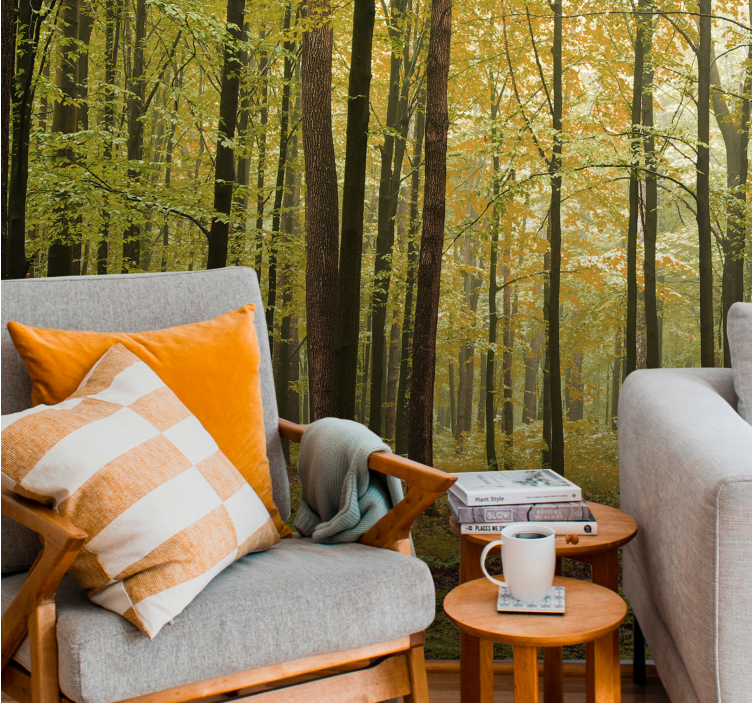 森林照片墙秋季林地风景 - TenStickers