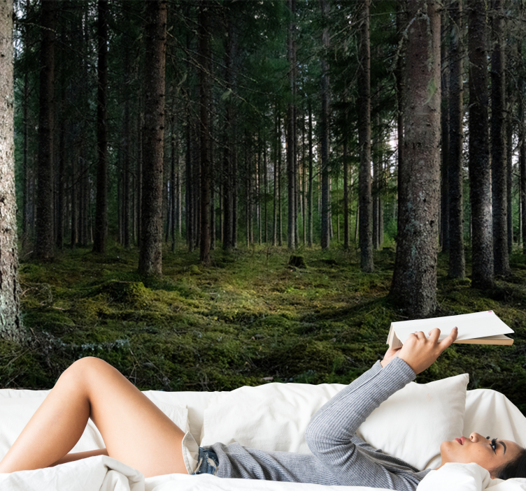 森林照片墙宁静的风景 - TenStickers