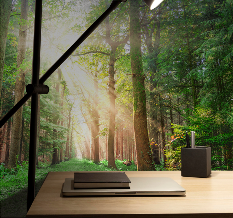 森林照片墙静谧林间小径 - TenStickers