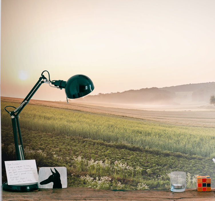 其他景观壁画宁静的绿色草甸 - TenStickers