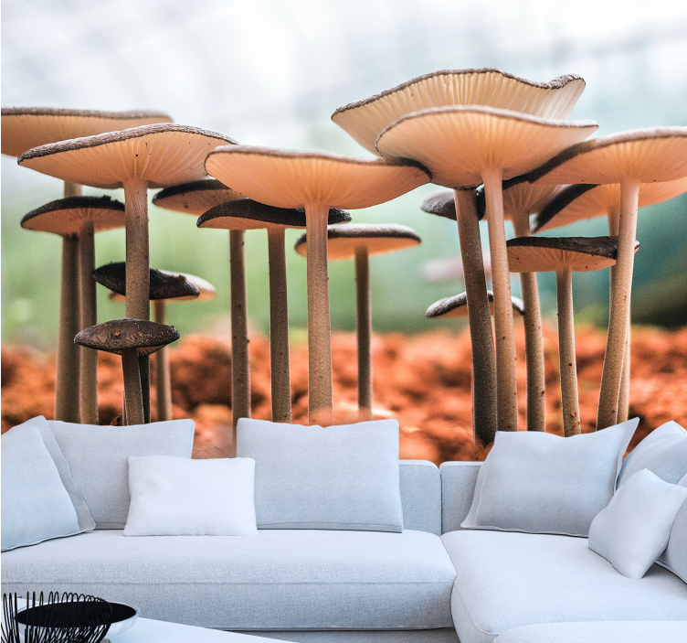 其他墙体壁画蘑菇集群场景 - TenStickers