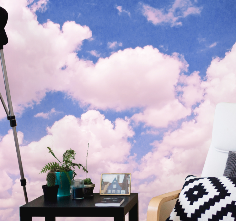 来自天空的照片墙，柔软粉色云朵 - TenStickers