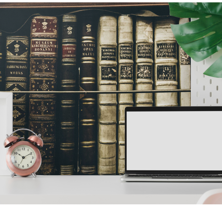 复古书柜壁画 - TenStickers