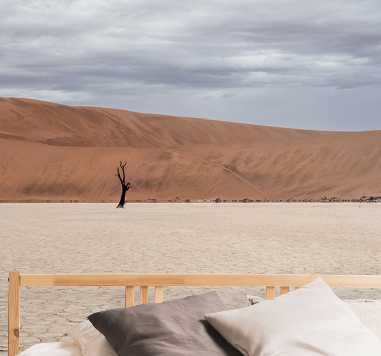 山地照片墙带你领略沙漠风光 - TenStickers