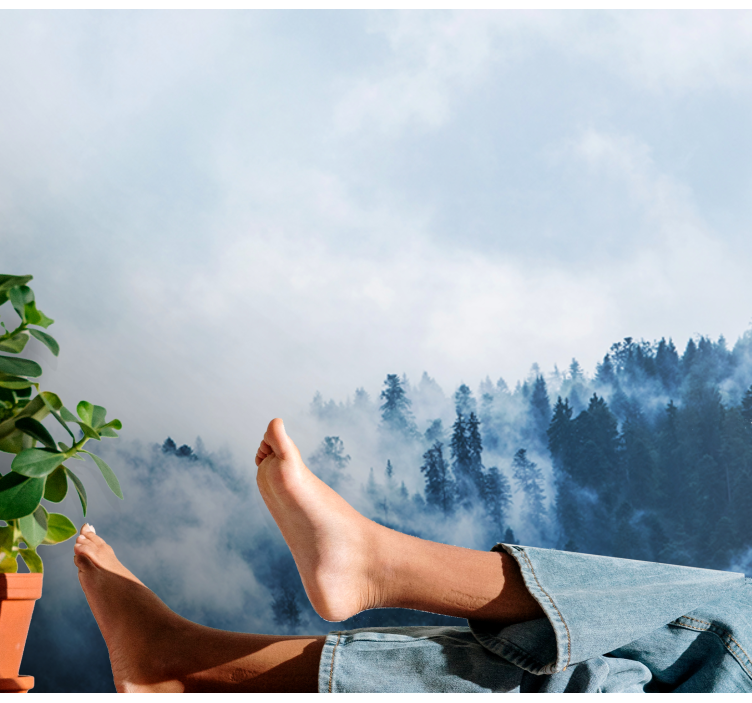 自然照片墙呈现森林雾霭景观 - TenStickers