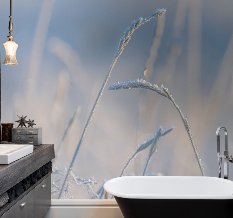 自然照片墙霜冻草尖 - TenStickers