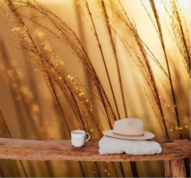 自然照片墙温柔金色草地 - TenStickers