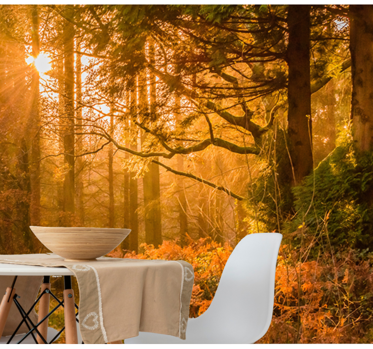 自然照片墙 灯光照亮的林地景观 - TenStickers