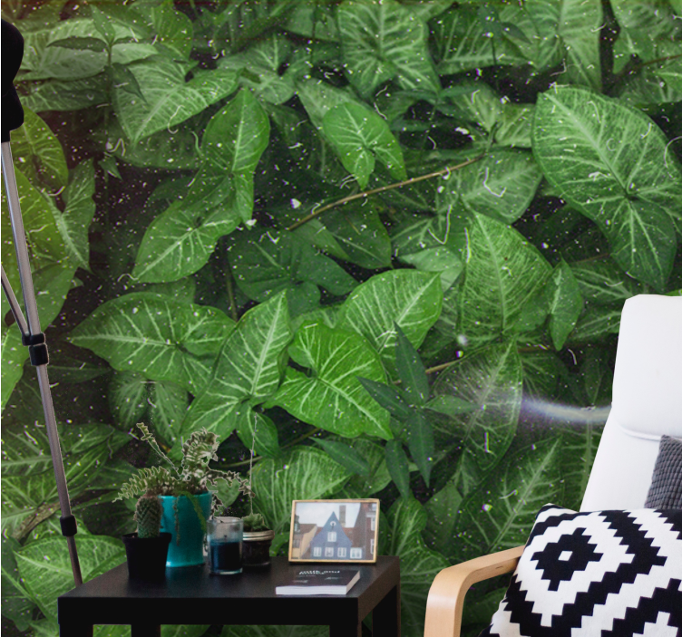 自然照片墙生动叶子组合 - TenStickers