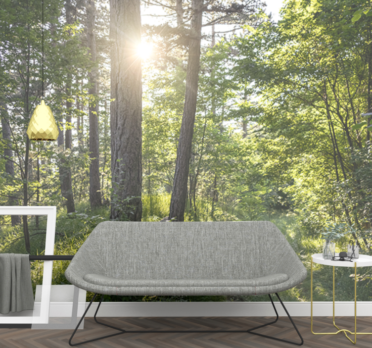 自然照片墙照亮的森林小径 - TenStickers