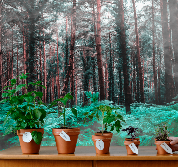 自然照片墙展现郁郁葱葱的荒野 - TenStickers