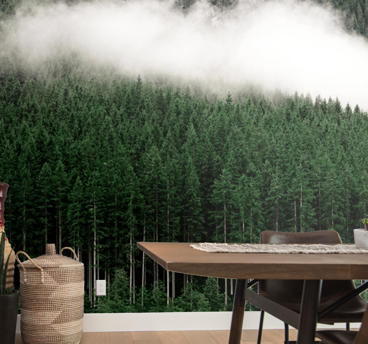 自然照片墙展现壮丽森林风光 - TenStickers