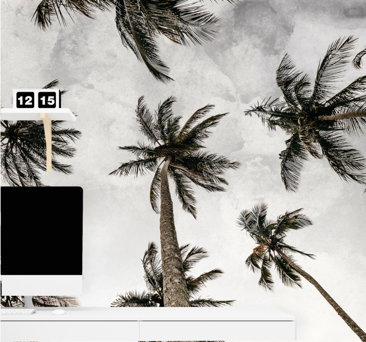 自然照片墙棕榈树树冠 - TenStickers