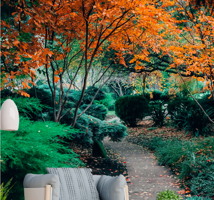 自然照片墙在树木间的小径 - TenStickers