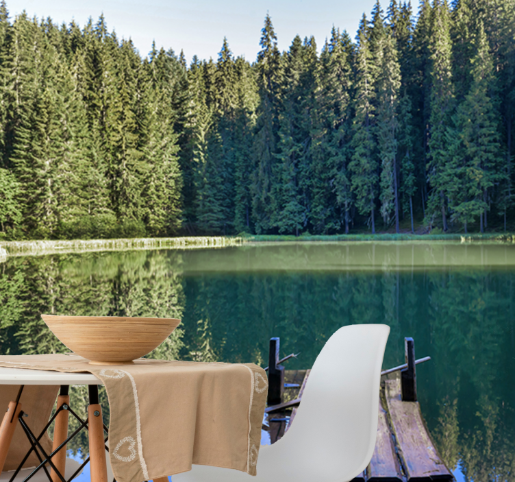 自然照片墙宁静森林倒影 - TenStickers