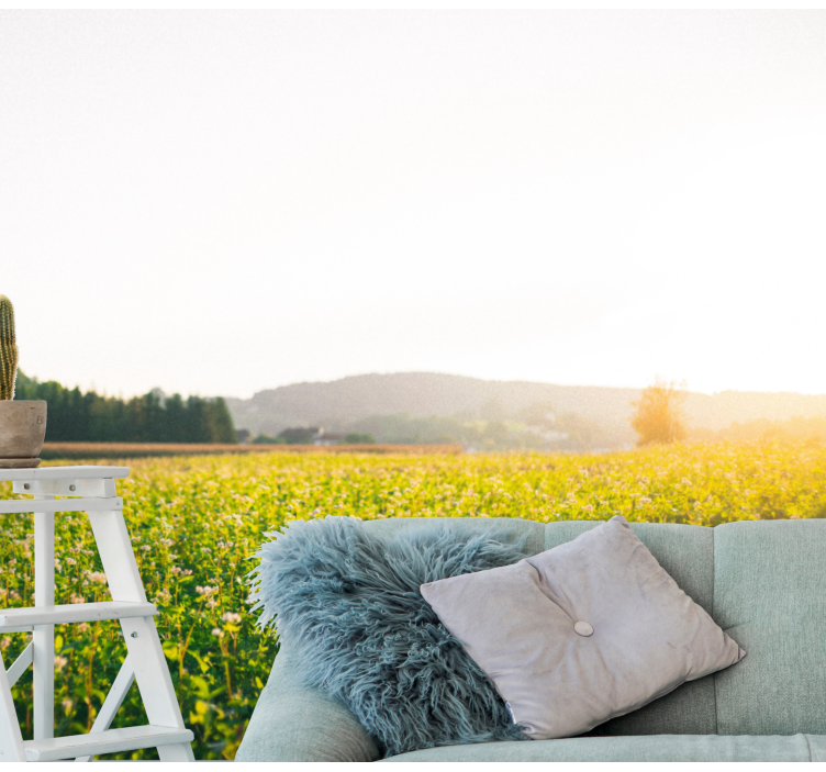 自然照片墙静谧草甸风景 - TenStickers