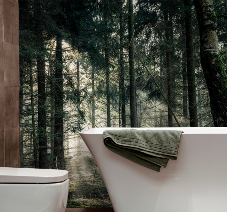 自然照片墙带来宁静林间美景 - TenStickers