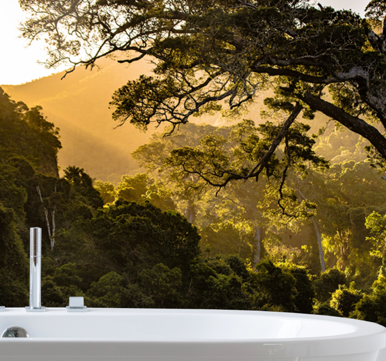 自然照片墙展现郁郁葱葱的林地风光 - TenStickers