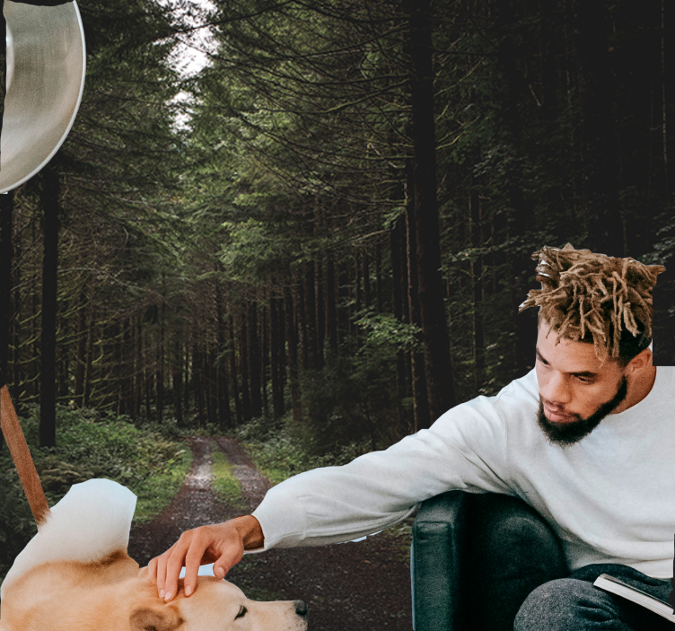 自然照片墙，郁郁葱葱的森林小径 - TenStickers