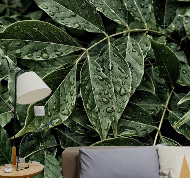 自然照片墙展现生机勃勃的绿叶表面 - TenStickers