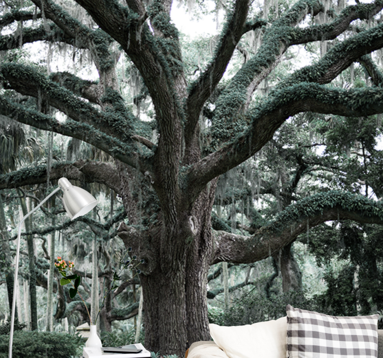 树木照片墙展现雄伟橡树枝条 - TenStickers