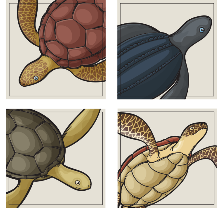 盲人怪物与色彩斑斓的乌龟插图 - TenStickers