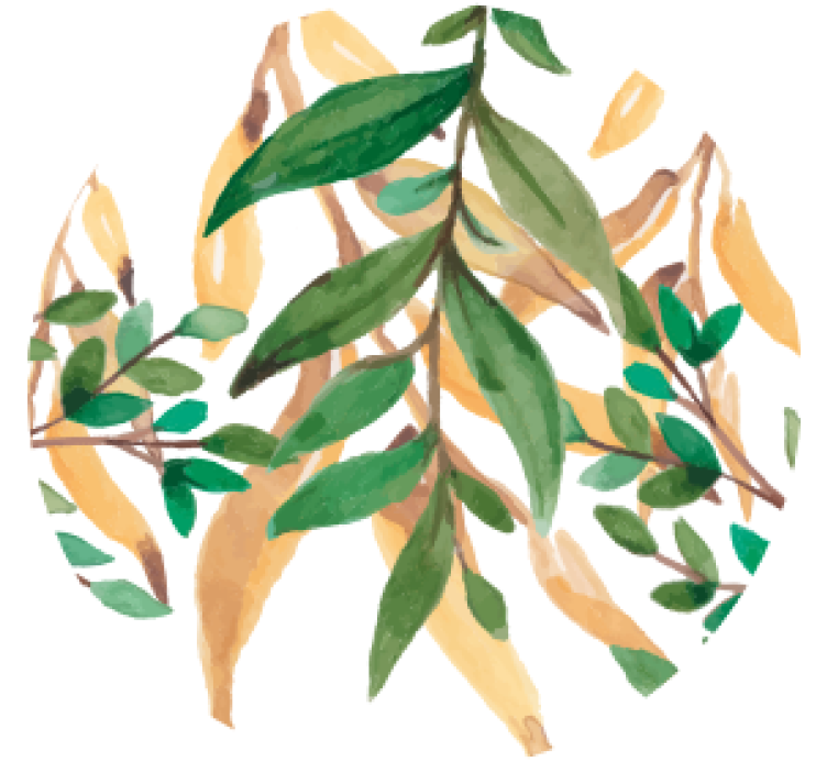 杯垫 啤酒垫 绿叶植物设计 - TenStickers