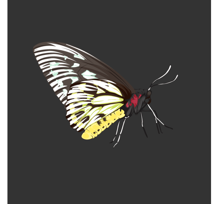 盲人怪物色彩斑斓的蝴蝶艺术 - TenStickers