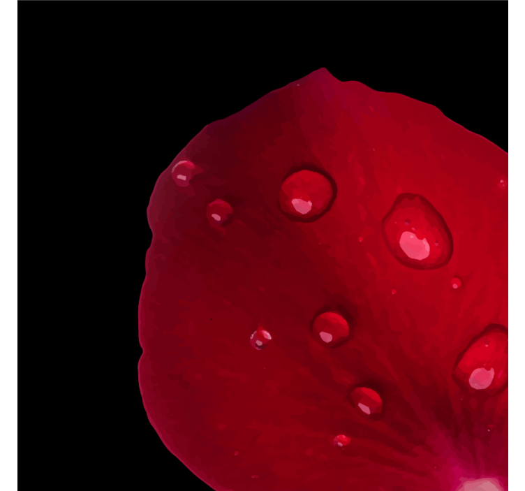 杯垫纹理露珠玫瑰花瓣 - TenStickers