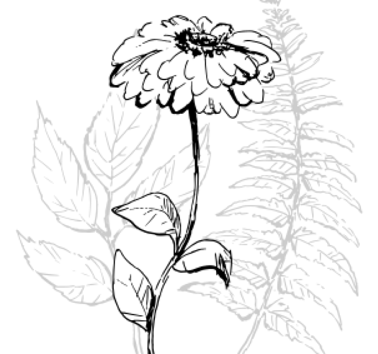 杯垫纹理与植物线条艺术相结合 - TenStickers