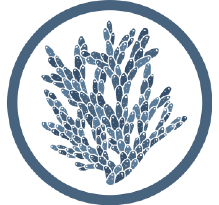 杯垫纹理抽象珊瑚图案 - TenStickers